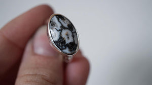 WHITE BUFFALO TURQUOISE RING